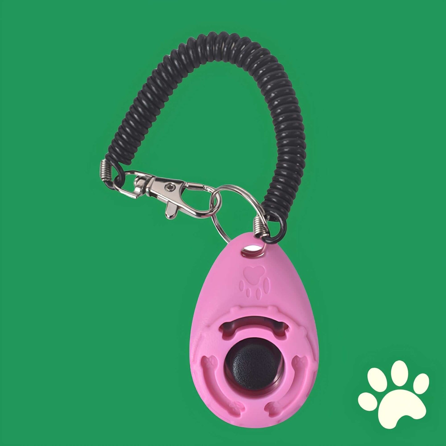 Clicky clicker de dressage pour chien
