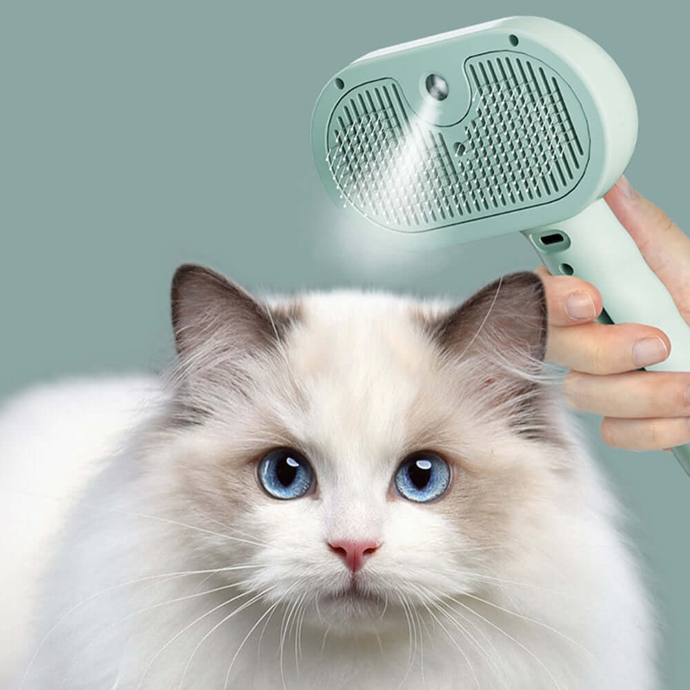 SteamBrush brosse de massage vapeur pour animaux