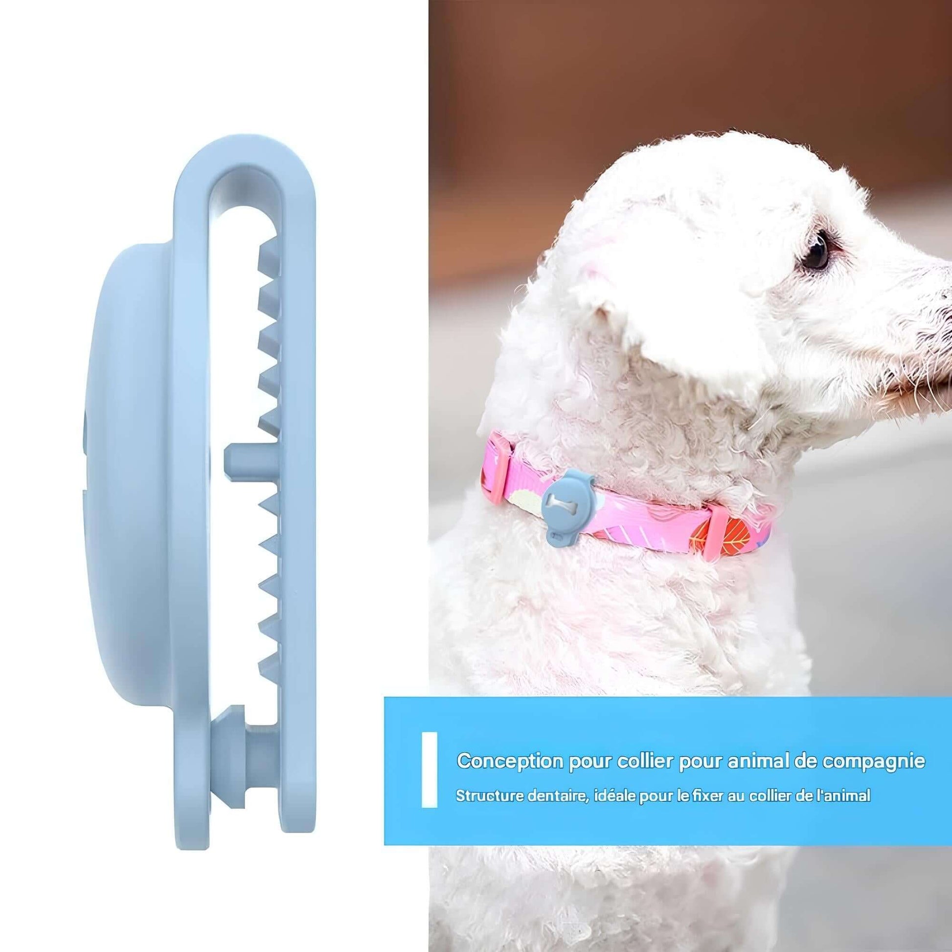 PetTrack traceur GPS intelligent pour animaux